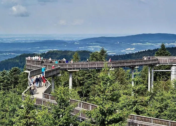 Sonnenblick Comfortable