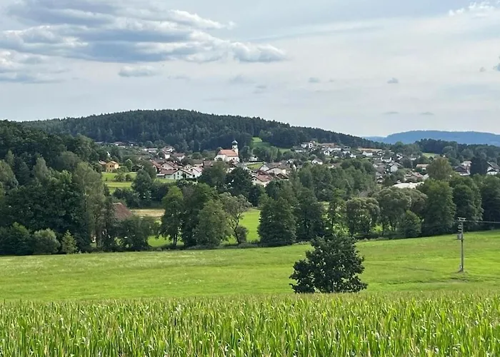 Sonnenblick Comfortable *