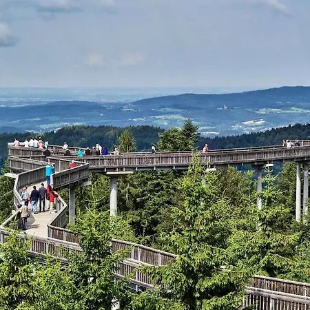Sonnenblick Comfortable