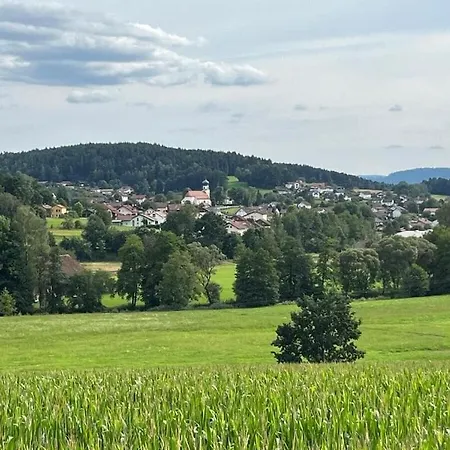 Sonnenblick Comfortable *
